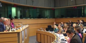 Speaking at the European Parliament